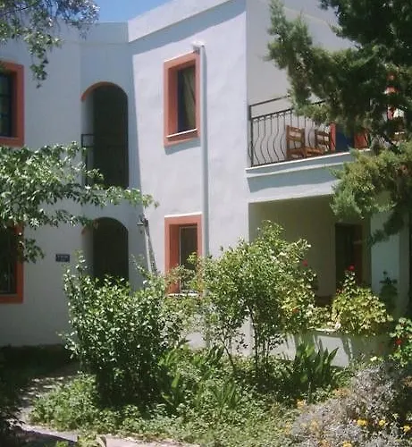 Hadi Bodrum