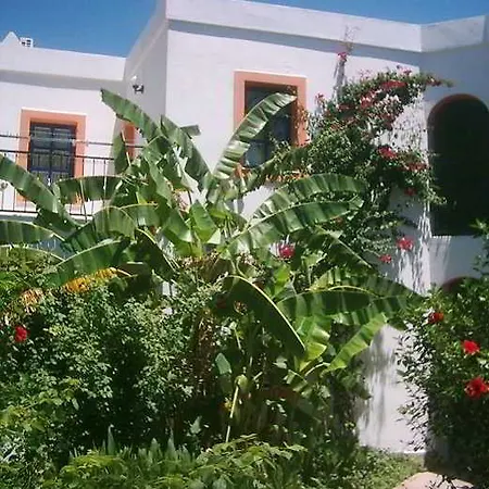 Apartment Hadi